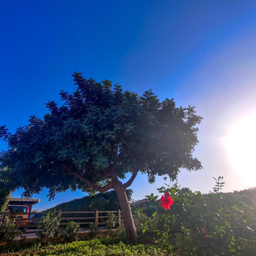 Villa Castiglione Custonaci Ngoại thất bức ảnh